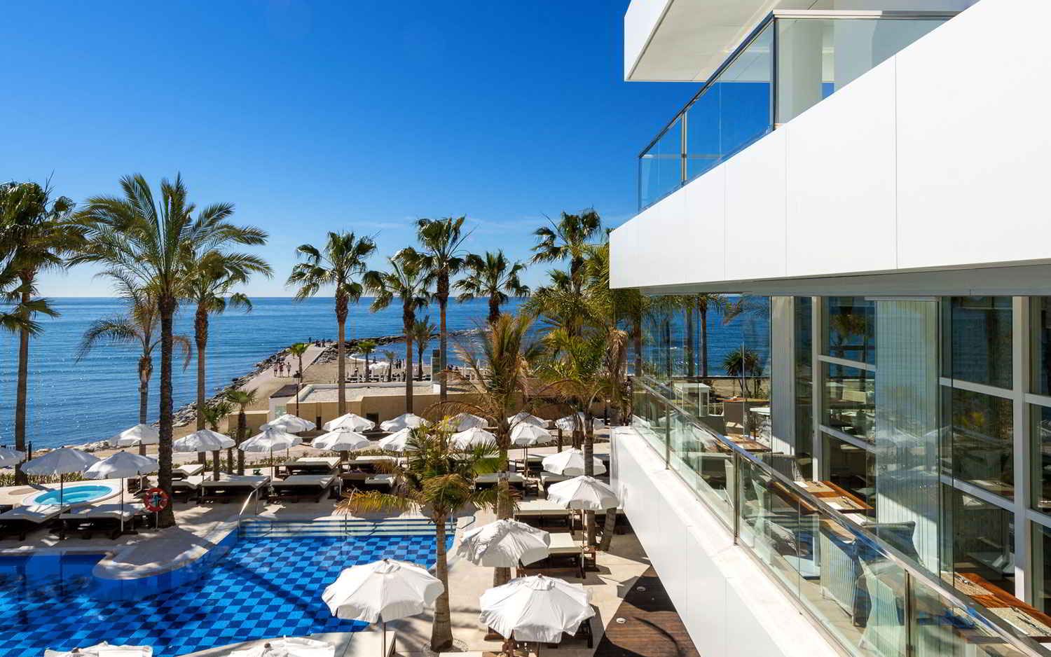 Alianza entre Amare Marbella y el restaurante Messina