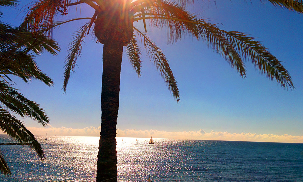 Cosas que hacer en Marbella - Ver los barcos pasar desde el paseo marítimo