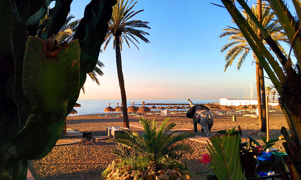 Cosas que hacer en Marbella - Ver un elefante en la playa