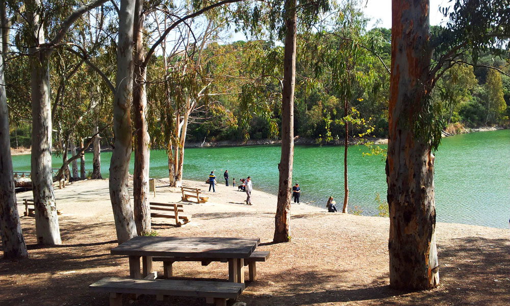 Visiter le lac de tortues et pique-niquer