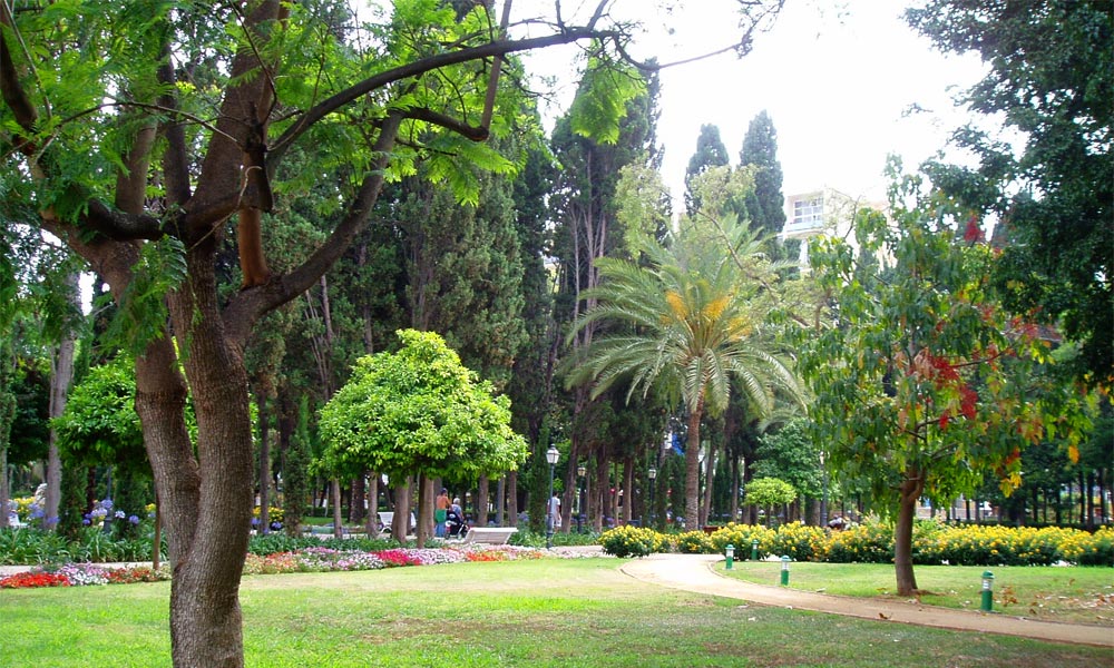 Marbella: in der Sie die beste Luft der Spanien genießen können - Constitution Park Marbella