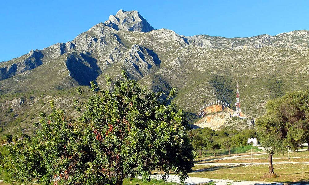 Pinar de Nagüeles Park Marbella