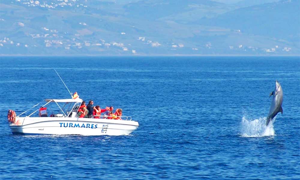 L'observation des baleines à Marbella