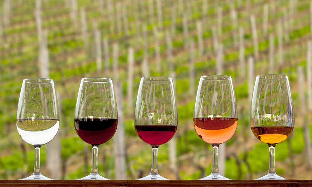 Malaga wines