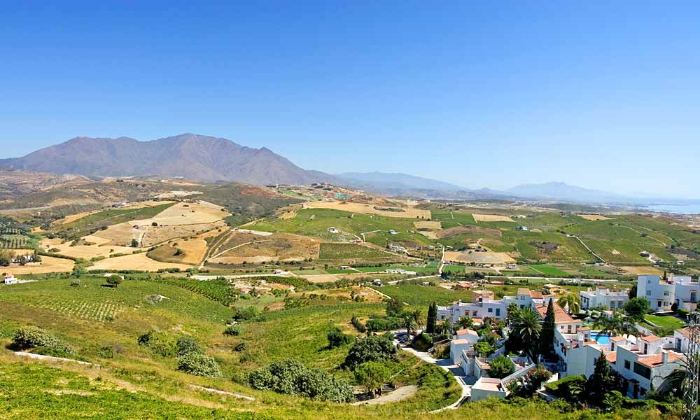 Oenotourisme à Malaga, Montes de Malaga, Manilva