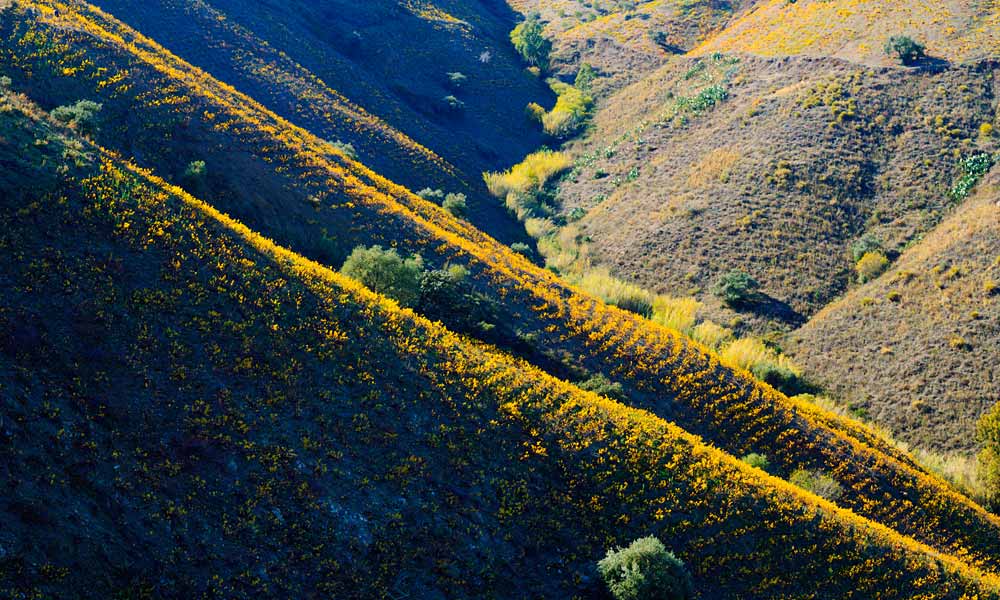 Wine Tourism Malaga