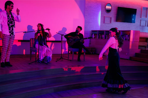 Flamenco Night