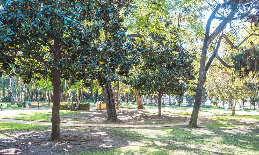 Constitution Park
