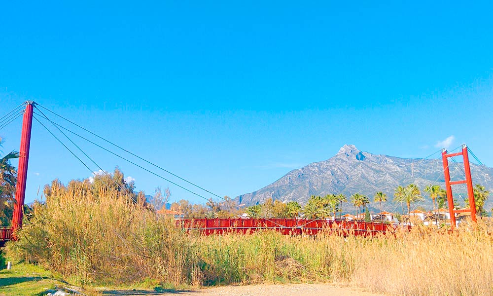 Rio Verde Bridge 