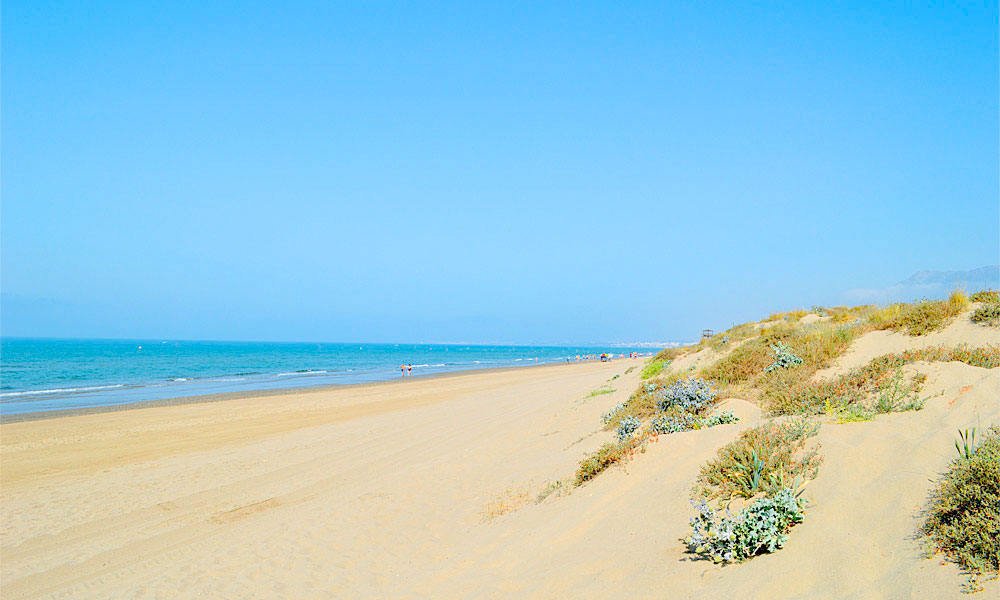 Real de Zaragoza Beach Marbella 