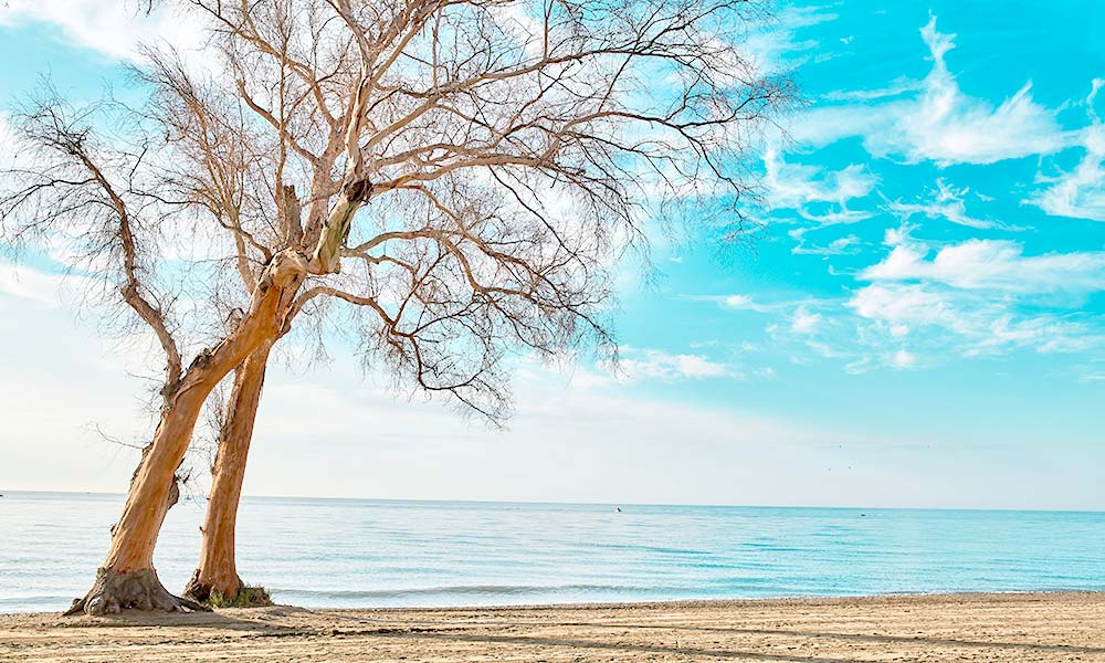 San Pedro de Alcántara Beach