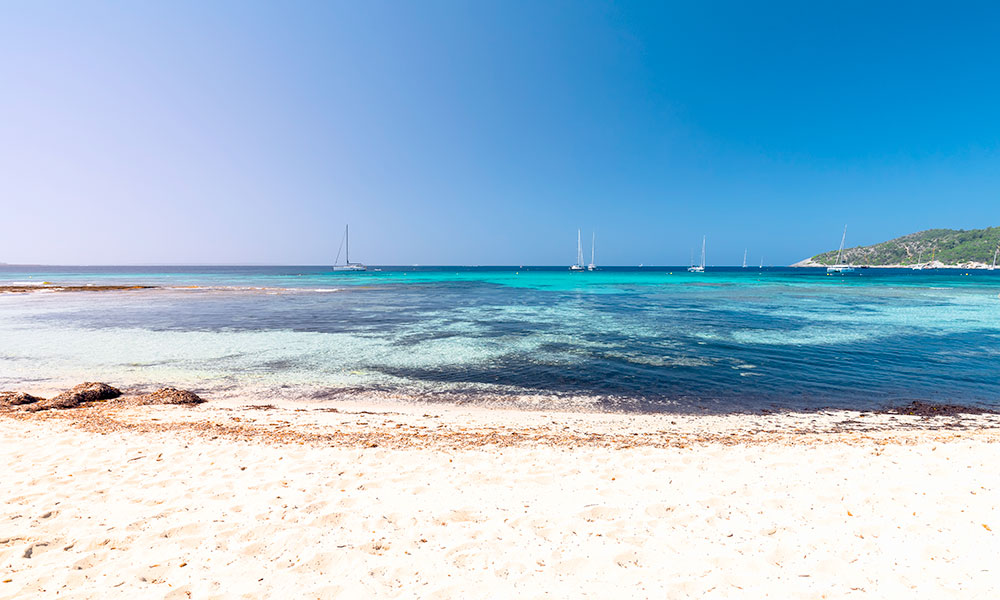 Las Salinas beach Ibiza