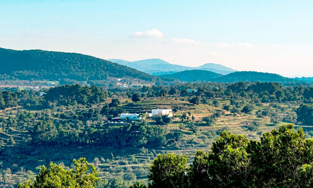 Ibiza agritourism