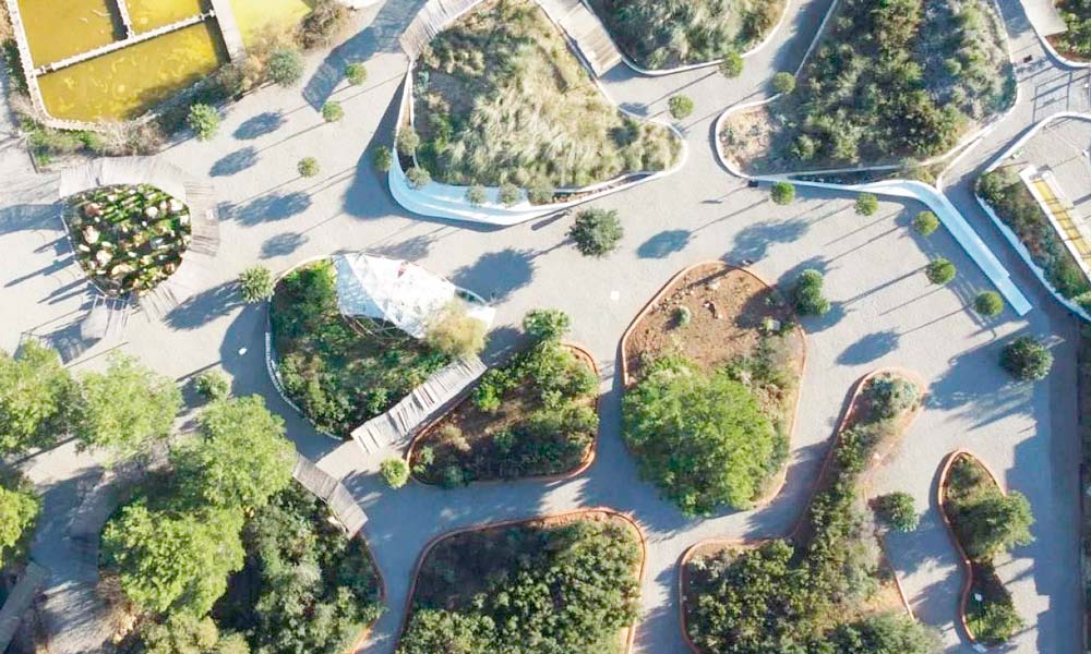Bibo Park Ibiza