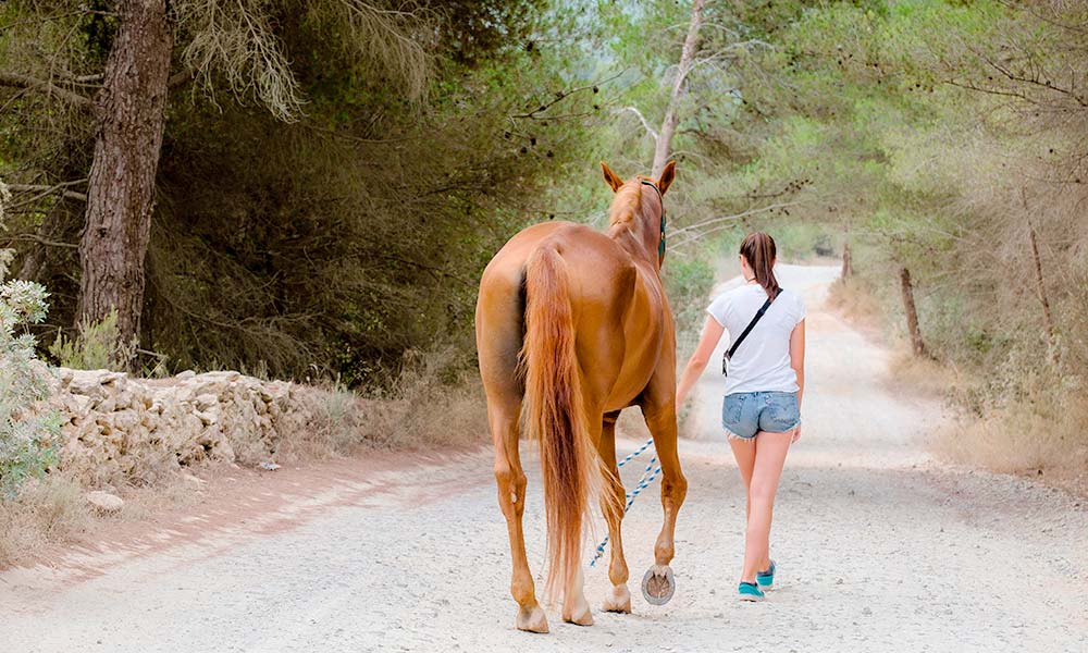 horseback riding Ibiza