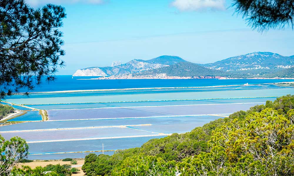 Ses Salines Natural Park - Crédito: Hans C. Schrodter / Shutterstock.com