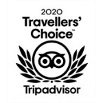 traveler's choice award