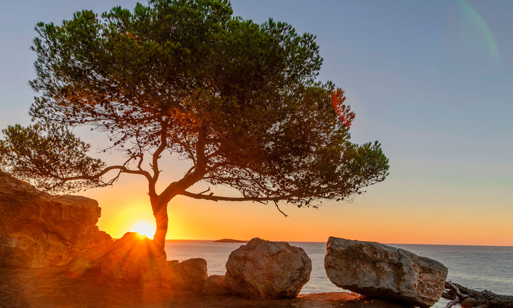 Sunset Es Broll Ibiza