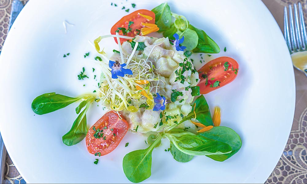 ceviche 