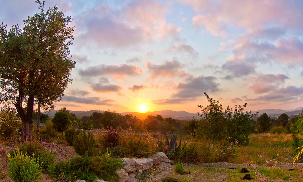 regenerative tourism, sunset inland Ibiza