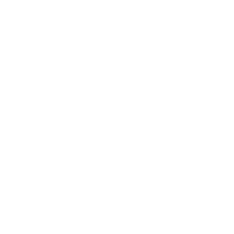 icon personalised advice