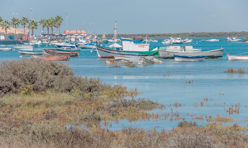 Sancti Petri Marina - Sancti Petri Travel FAQ